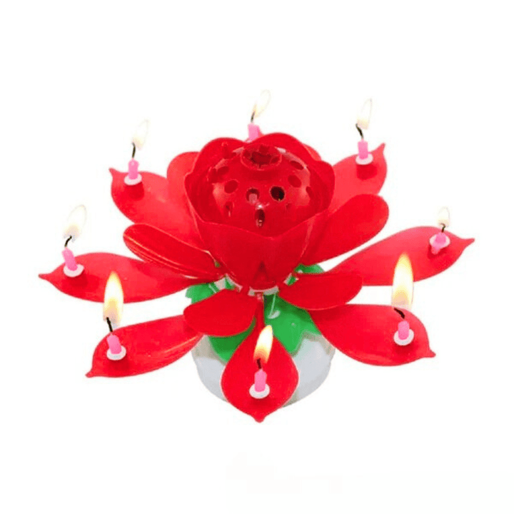 Happy Birthday Flower Candle With Music - AlifdukanAlifdukan types here :)