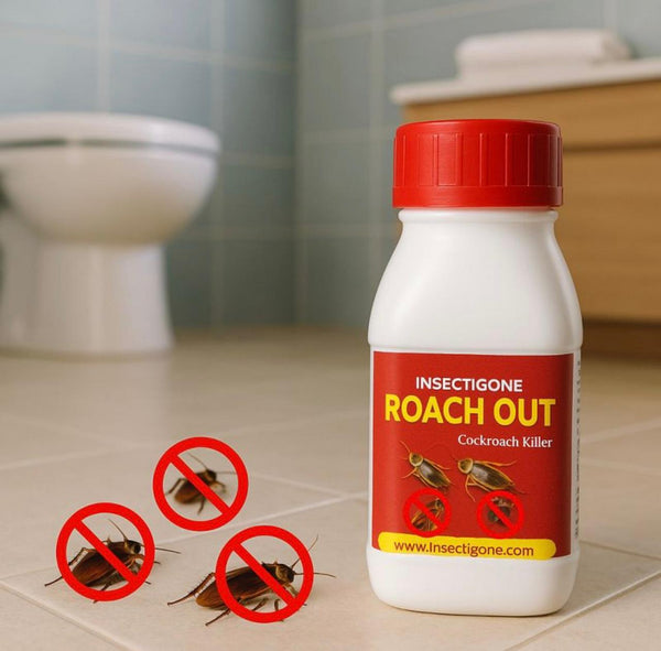 Insectigone Roach Out – Powerful Cockroach Killer for Home & Kitchen - AlifdukanAlifdukan types here :)