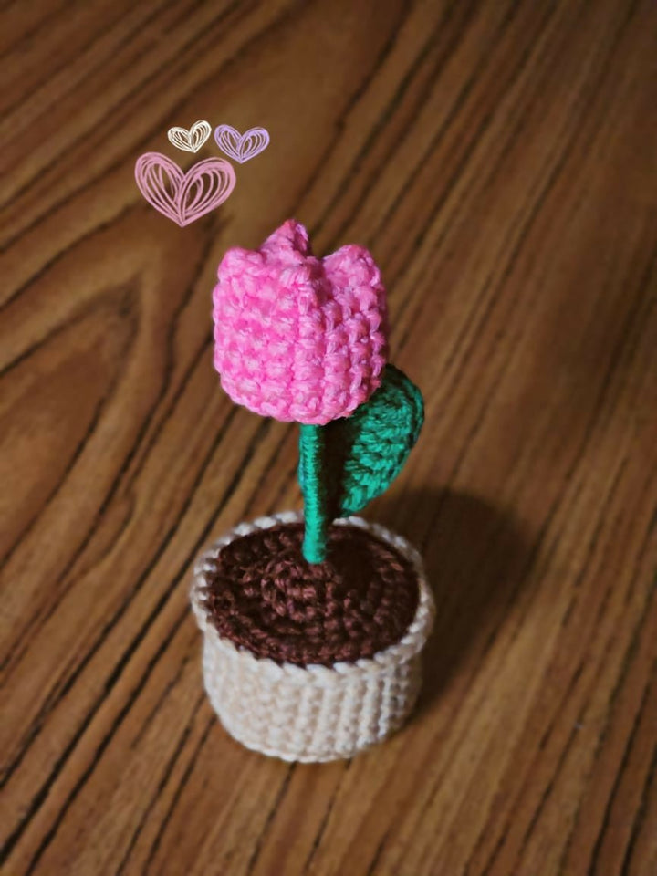 Mini Crochet Flower Pot - Handmade Gift & Room Decor - AlifdukanCrochet By Tashu types here :)