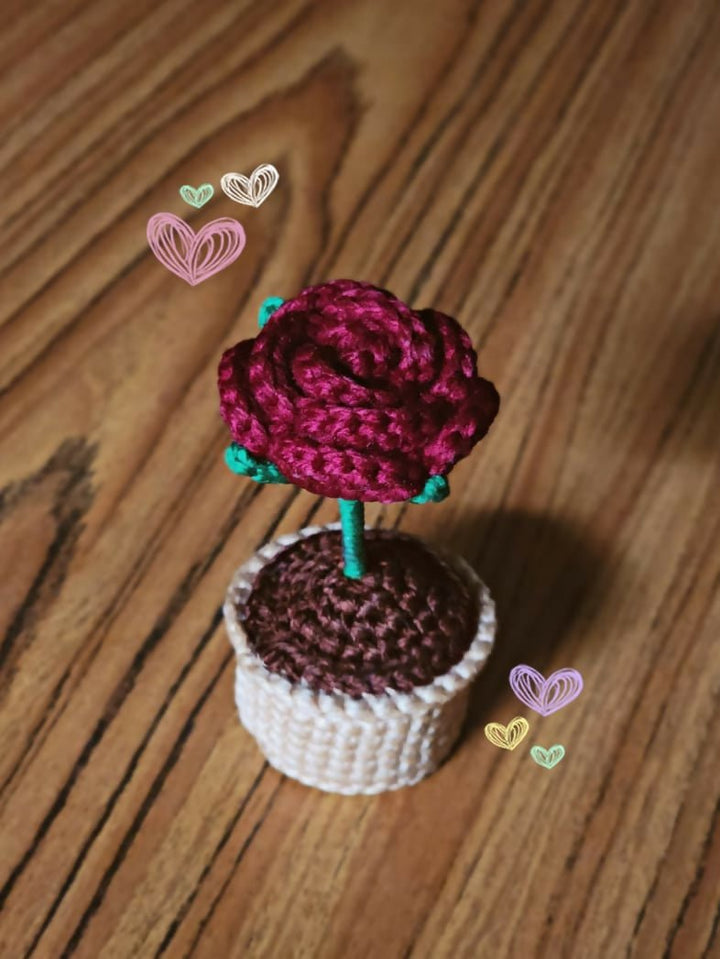 Mini Crochet Flower Pot - Handmade Gift & Room Decor - AlifdukanCrochet By Tashu types here :)