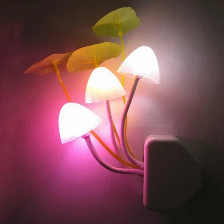 Mushroom LED Sensor Light Night Lamp - AlifdukanAlifdukan types here :)