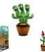 Dancing Cactus Talking Toy - Rechargeable